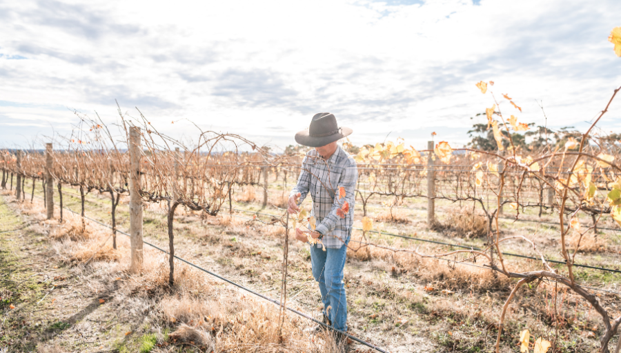 Fragos Farm Image