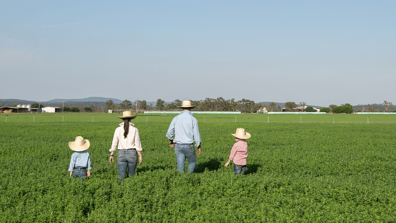 Family of four walking through paddock.