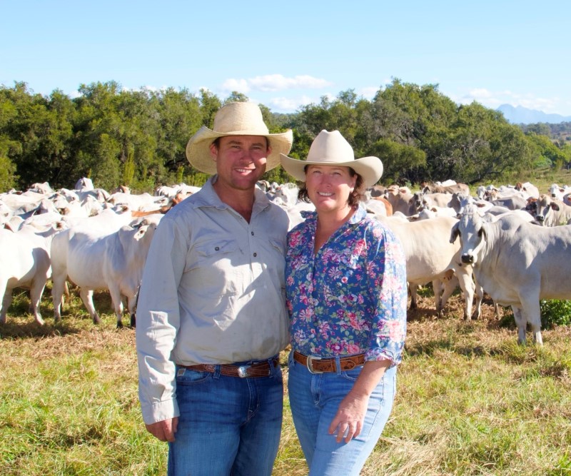 Man and woman standing with cattle