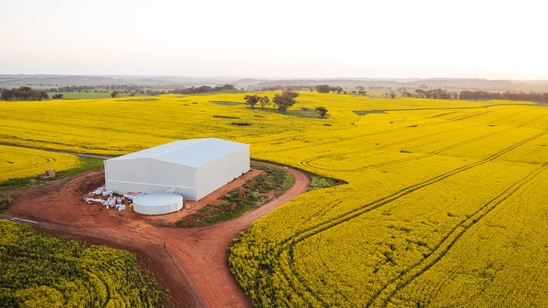 Aerial of canola farm