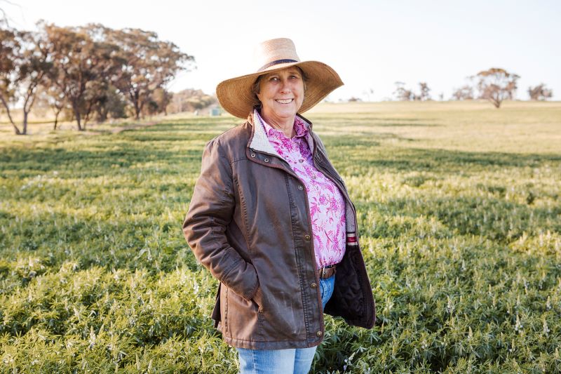 Woman standing in farm crop field