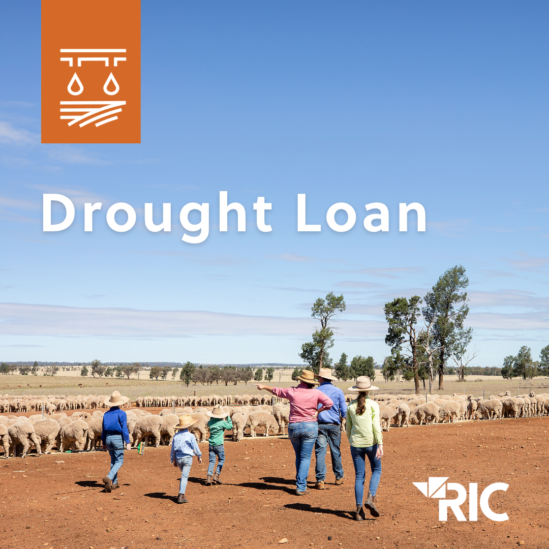 Drought Loan