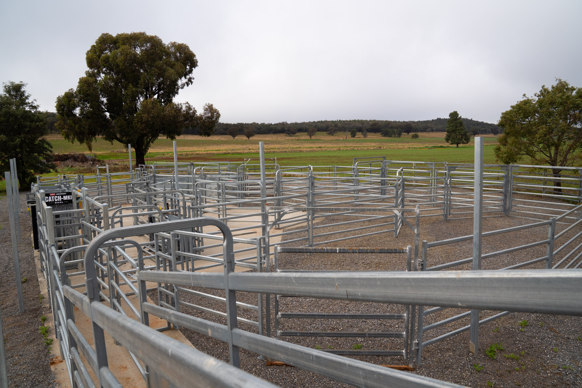 Cattle yards