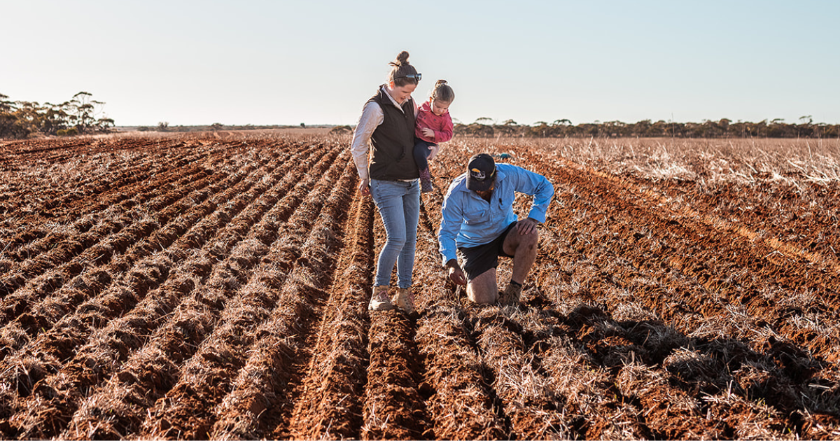 Farm Investment Family