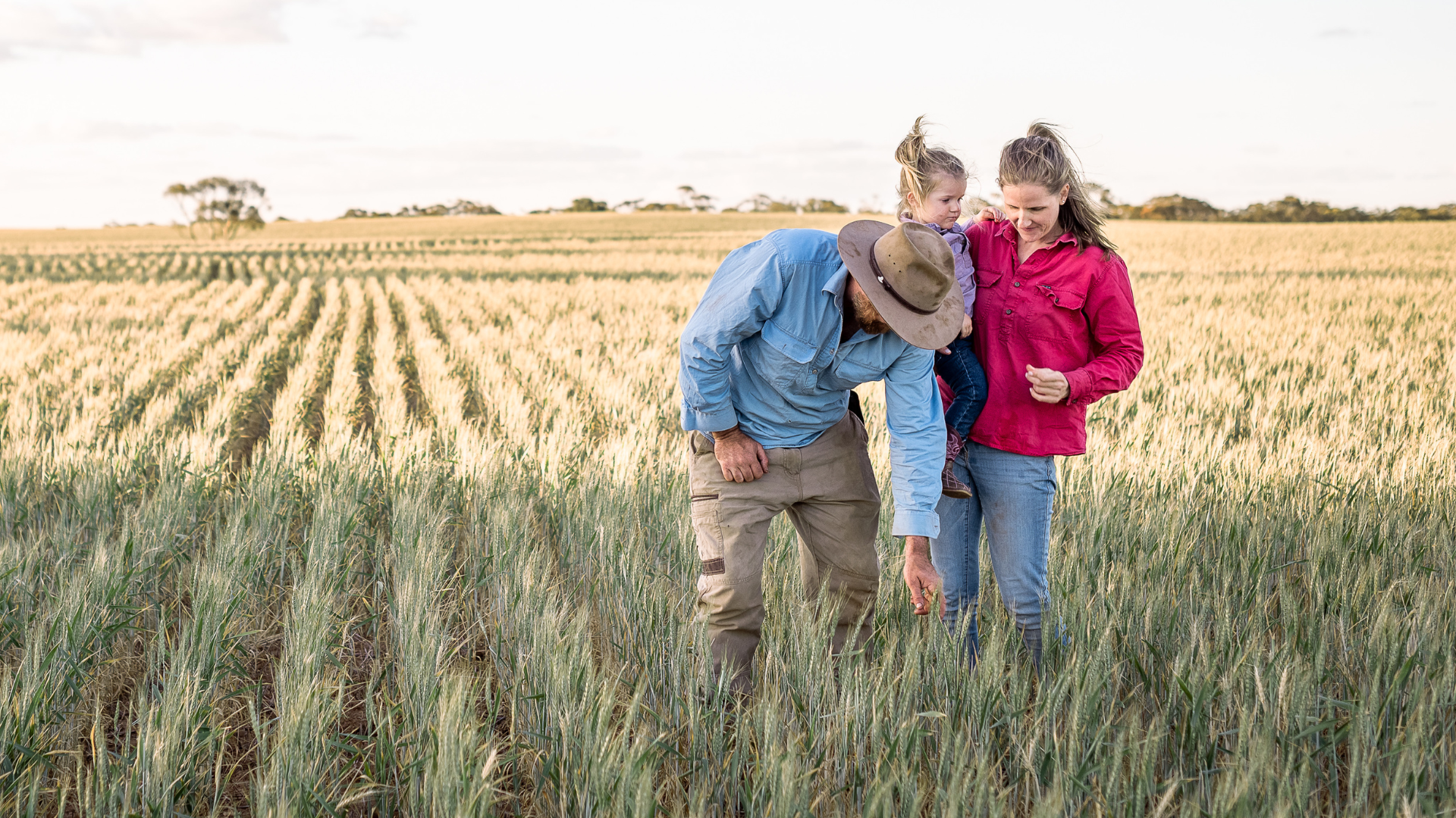 Grain Farmer