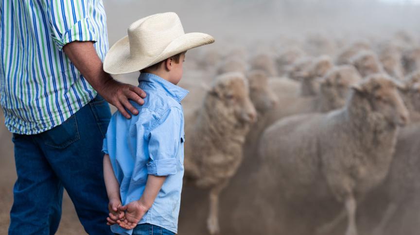 Farm man and child with sheep