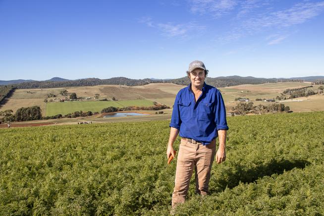 Farmer in paddock